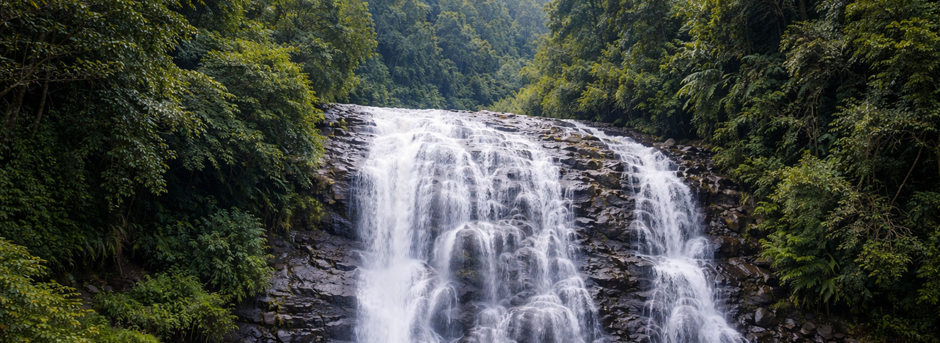 Misty coffee plantations and rolling hills of Coorg Karnataka