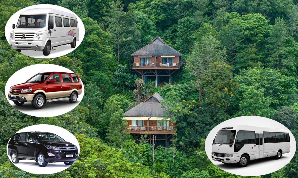 Car driving through lush coffee plantations in Coorg