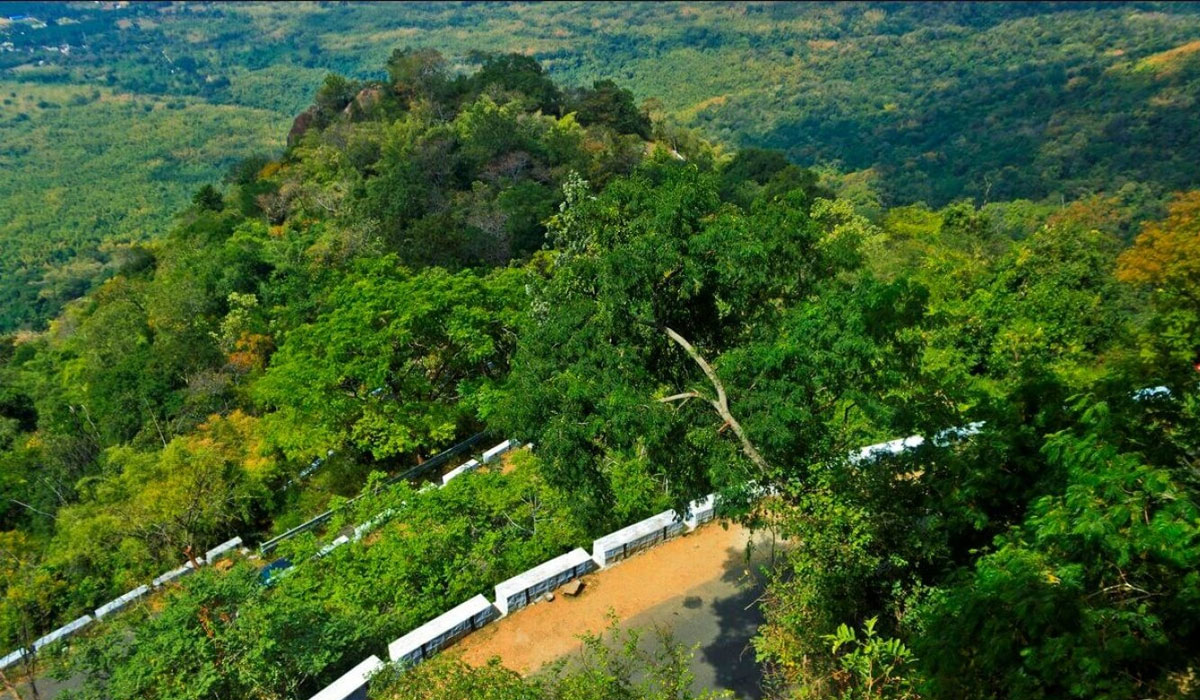 Kolli Hills scenic view with lush green mountains and winding roads
