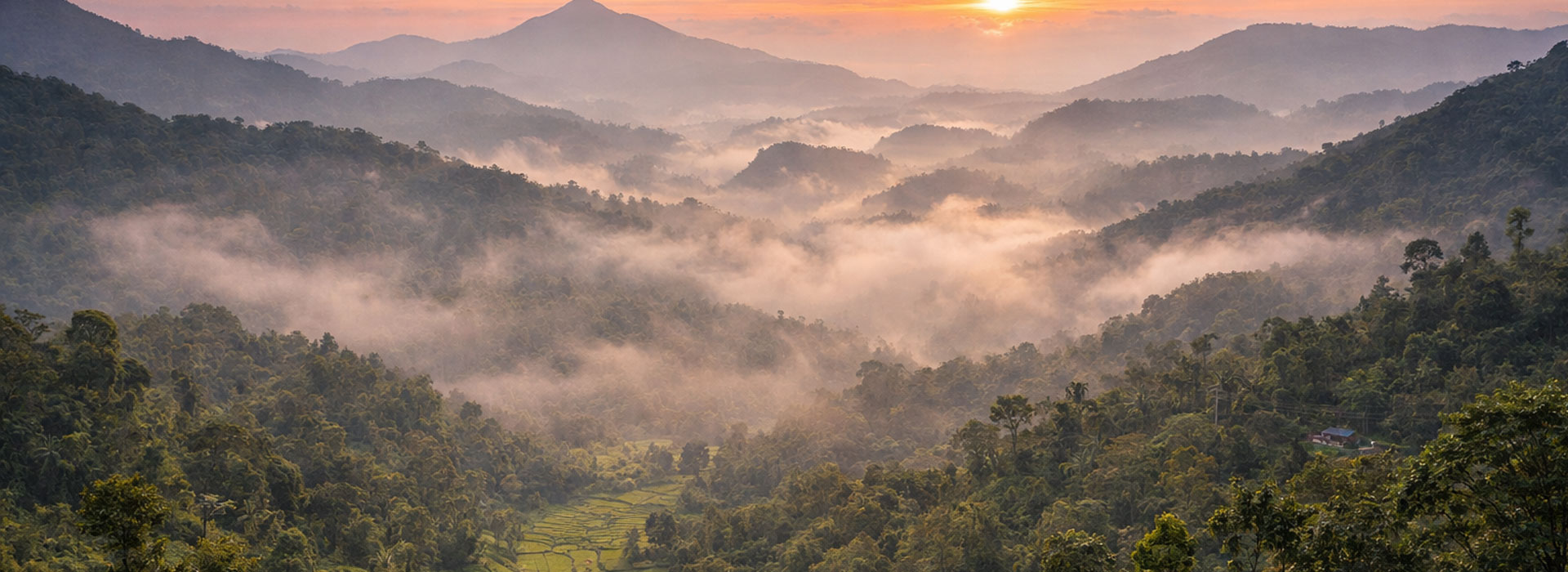 Lush green hills, tea plantations, and misty valleys of Wayanad Kerala