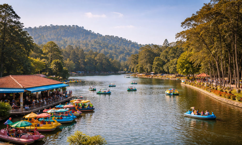 Yercaud Lake with boats surrounded by green hills